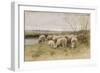 Sheep-Francois Pieter Ter Meulen-Framed Giclee Print