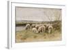 Sheep-Francois Pieter Ter Meulen-Framed Giclee Print