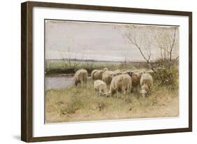 Sheep-Francois Pieter Ter Meulen-Framed Giclee Print