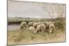 Sheep-Francois Pieter Ter Meulen-Mounted Giclee Print
