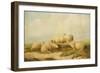 Sheep-Thomas Sidney Cooper-Framed Giclee Print