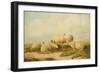 Sheep-Thomas Sidney Cooper-Framed Giclee Print