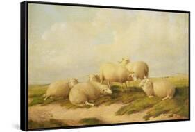 Sheep-Thomas Sidney Cooper-Framed Stretched Canvas