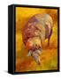 Sheep-Marion Rose-Framed Stretched Canvas