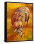 Sheep-Marion Rose-Framed Stretched Canvas