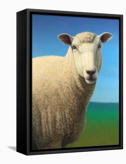 Sheep-James W. Johnson-Framed Stretched Canvas