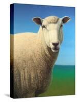 Sheep-James W. Johnson-Stretched Canvas