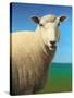 Sheep-James W. Johnson-Stretched Canvas