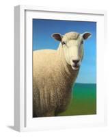 Sheep-James W. Johnson-Framed Giclee Print