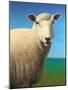 Sheep-James W. Johnson-Mounted Giclee Print