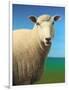 Sheep-James W. Johnson-Framed Giclee Print