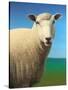 Sheep-James W. Johnson-Stretched Canvas