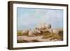 Sheep-Thomas Sidney Cooper-Framed Giclee Print