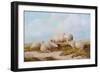 Sheep-Thomas Sidney Cooper-Framed Giclee Print