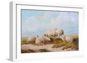 Sheep-Thomas Sidney Cooper-Framed Giclee Print