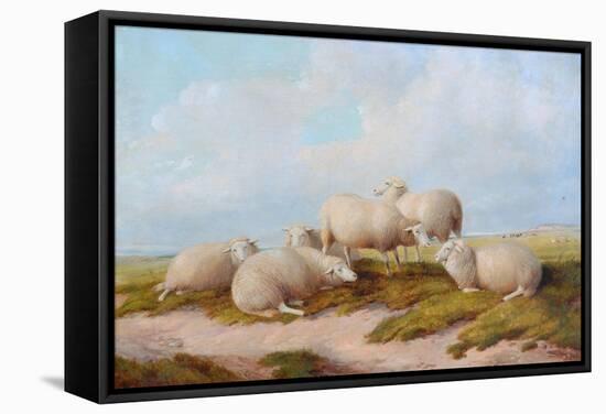 Sheep-Thomas Sidney Cooper-Framed Stretched Canvas
