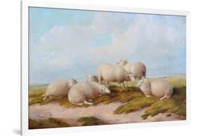 Sheep-Thomas Sidney Cooper-Framed Giclee Print