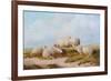 Sheep-Thomas Sidney Cooper-Framed Giclee Print