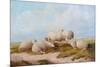 Sheep-Thomas Sidney Cooper-Mounted Giclee Print