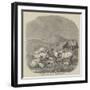 Sheep-null-Framed Giclee Print