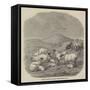 Sheep-null-Framed Stretched Canvas