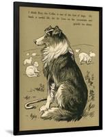 Sheepdog Guarding Flock of Sheep-null-Framed Photographic Print