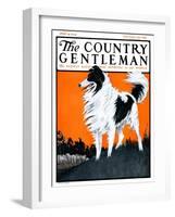 "Sheepdog Oversees Flock," Country Gentleman Cover, June 14, 1924-Paul Bransom-Framed Giclee Print