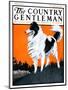 "Sheepdog Oversees Flock," Country Gentleman Cover, June 14, 1924-Paul Bransom-Mounted Giclee Print