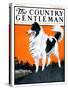 "Sheepdog Oversees Flock," Country Gentleman Cover, June 14, 1924-Paul Bransom-Stretched Canvas