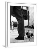 Sheepdog Puppy Stealing a String of Sausages Which are Hanging Down from a Wicker Shopping Basket-null-Framed Premium Photographic Print