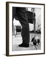 Sheepdog Puppy Stealing a String of Sausages Which are Hanging Down from a Wicker Shopping Basket-null-Framed Premium Photographic Print