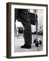 Sheepdog Puppy Stealing a String of Sausages Which are Hanging Down from a Wicker Shopping Basket-null-Framed Photographic Print