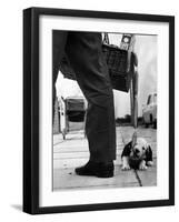 Sheepdog Puppy Stealing a String of Sausages Which are Hanging Down from a Wicker Shopping Basket-null-Framed Photographic Print