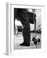 Sheepdog Puppy Stealing a String of Sausages Which are Hanging Down from a Wicker Shopping Basket-null-Framed Photographic Print