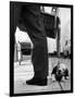 Sheepdog Puppy Stealing a String of Sausages Which are Hanging Down from a Wicker Shopping Basket-null-Framed Photographic Print