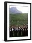 Sheepherders Festival, Gemmi, Switzerland-null-Framed Photographic Print