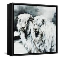 Sheepish-Sydney Edmunds-Framed Stretched Canvas