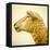 Sheeps Head-Mark Gemmell-Framed Stretched Canvas