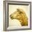 Sheeps Head-Mark Gemmell-Framed Photographic Print