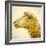 Sheeps Head-Mark Gemmell-Framed Photographic Print