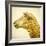 Sheeps Head-Mark Gemmell-Framed Photographic Print