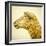 Sheeps Head-Mark Gemmell-Framed Photographic Print