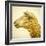 Sheeps Head-Mark Gemmell-Framed Photographic Print