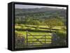 Sheepstor, Dartmoor, Devon, England-Peter Adams-Framed Stretched Canvas