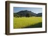 Sheepwalk at Orient, Majorca, the Balearic Islands, Spain-Rainer Mirau-Framed Photographic Print