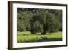 Sheepwalk at Orient, Majorca, the Balearic Islands, Spain-Rainer Mirau-Framed Photographic Print