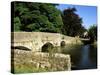 Sheepwash Bridge Over the River Wye, Ashford-In-The-Water, Peak District National Park, England-Neale Clarke-Stretched Canvas