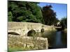 Sheepwash Bridge Over the River Wye, Ashford-In-The-Water, Peak District National Park, England-Neale Clarke-Mounted Photographic Print