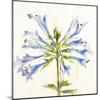 Sheer Beauty III-Liz Jardine-Mounted Art Print