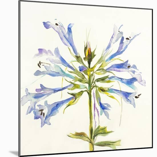 Sheer Beauty III-Liz Jardine-Mounted Art Print